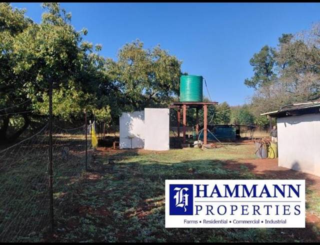 FARM FOR SALE IN LOUIS TRICHARDT RURAL
